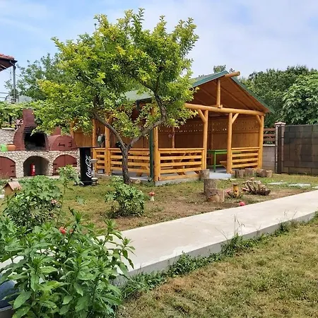 Guest house Casa Calin 3*