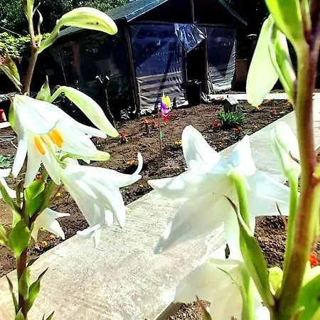 Casa Calin 3* Vama Veche